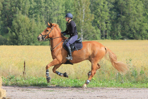 Pokharas erstes Reitabenteuer