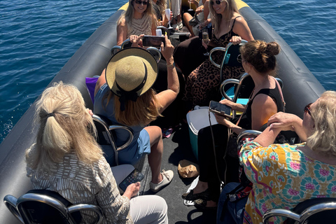 Balade en mer de Nice vers Monaco et stop à Villefranche