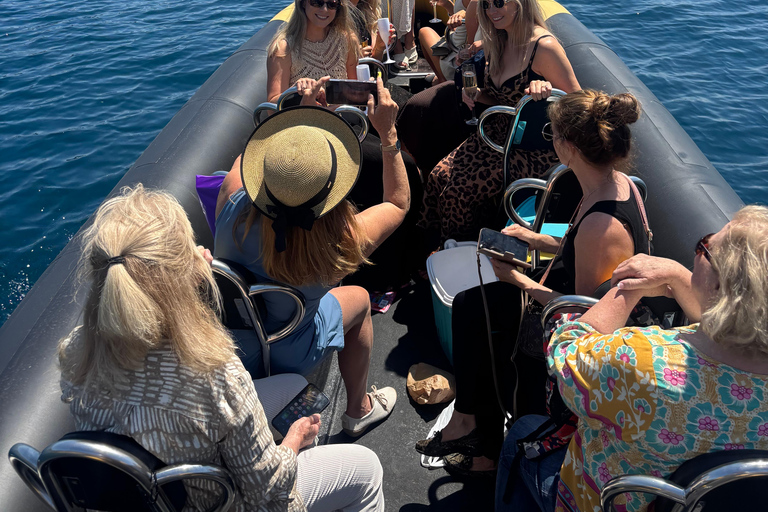Balade en mer de Nice vers Monaco et stop à Villefranche