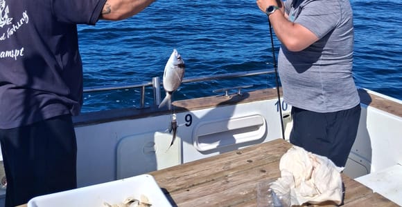 Exclusive Sport Fishing Tour - All Inclusive