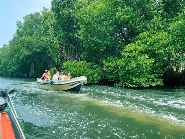 Bentota: River Safari, Turtle Hatchery & Galle Fort Day Tour