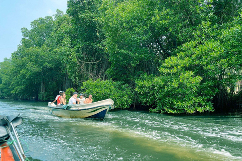 Bentota: River Safari, Turtle Hatchery & Galle Fort Day Tour