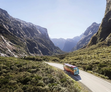 From Queenstown: Milford Sound Coach, Cruise, Scenic Flight