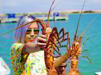 Kalbarri Crayfish Catch & Keep Tour