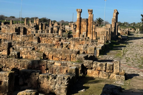 Tunis: Utica, Bizerte, and Cape Angela Private Day Trip