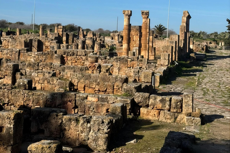 Tunis: Utica, Bizerte, and Cape Angela Private Day Trip