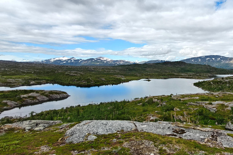 Abisko: Inkanjaure Hidden Lake Hike
