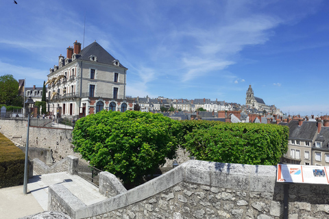 Loire Valley : visite de Blois et Chambord avec dégustation