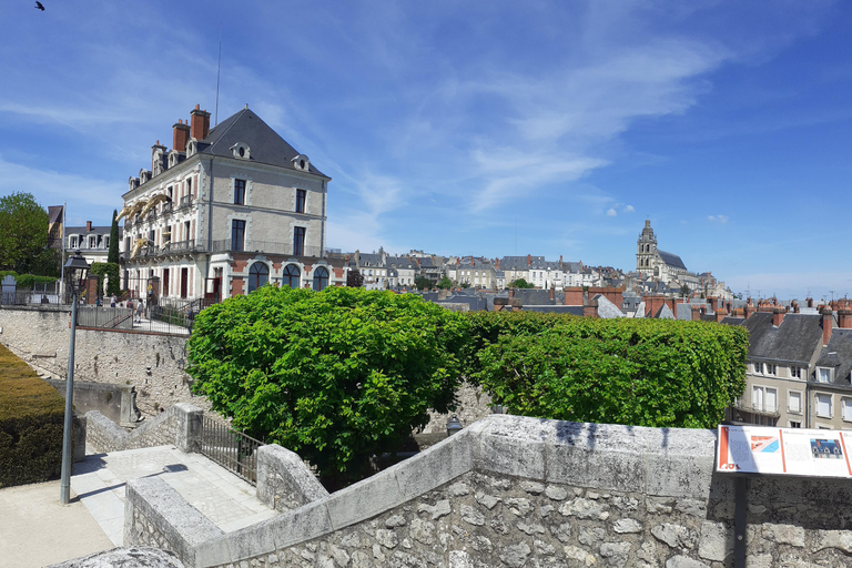 Loire Valley : visite de Blois et Chambord avec dégustation