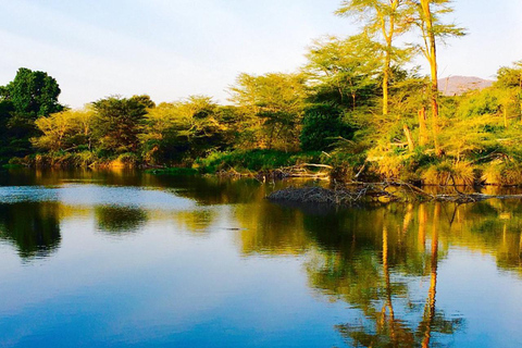 From Nairobi: Mzima Springs Wildlife Tour