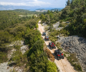 Korcula Buggy Safari With Wine Tasting