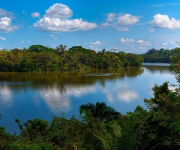 Tambopata 4Days/3Nights