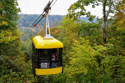 From Riga: Sigulda, Cēsis & Gauja National Park Tour