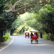 Day Trip from Taipei: Coast Cycling, Railbike & Ginger Spa
