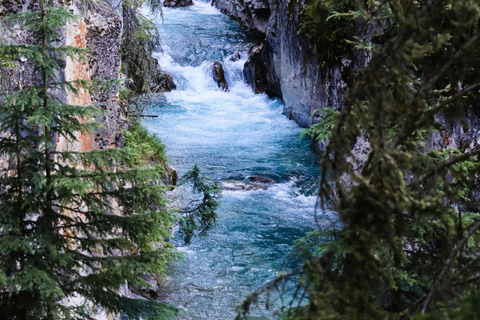 Banff/Canmore: Lake Louise, Moraine Lake & Johnston CanyonAbholung von der Banff Canalta Lodge