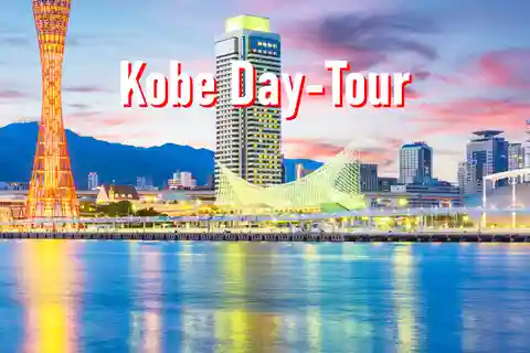 Da Osaka: tour personalizzato privato di 10 ore a Kobe