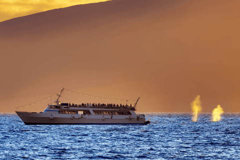 Dinner Cruise In Goa