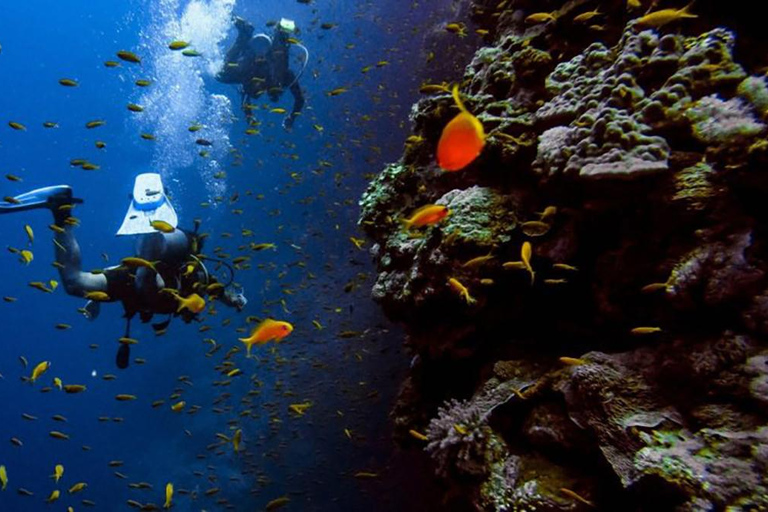 Excursión de buceo con traslado desde Alanya y la ciudad de Side