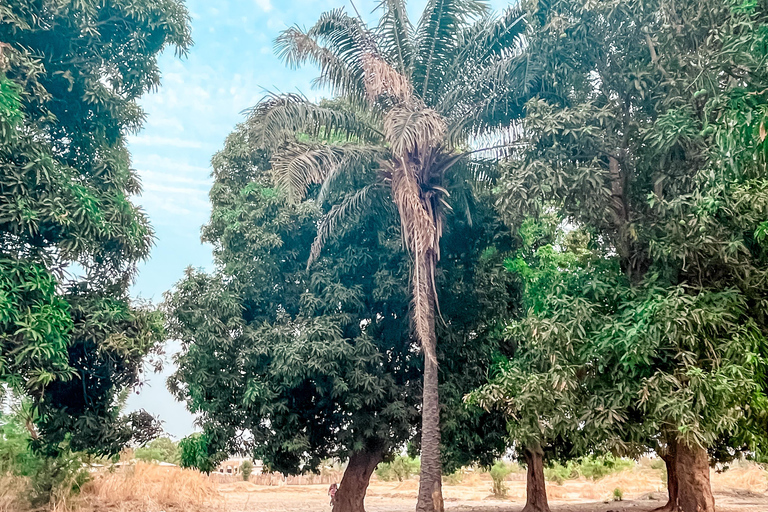 Gambia: Full-Day Rural Village Tour with Lunch