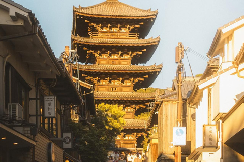 Osaka/Kyoto; Kyoto and Nara customizable Day Tour with Guide