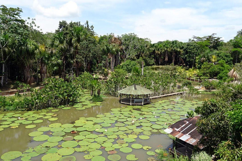 jednodniowa wycieczka po rzece amazon.Visita Guiada en el Rio Amazonas