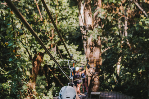 Puerto Rico: El Yunque Rainforest Zipline Adventure