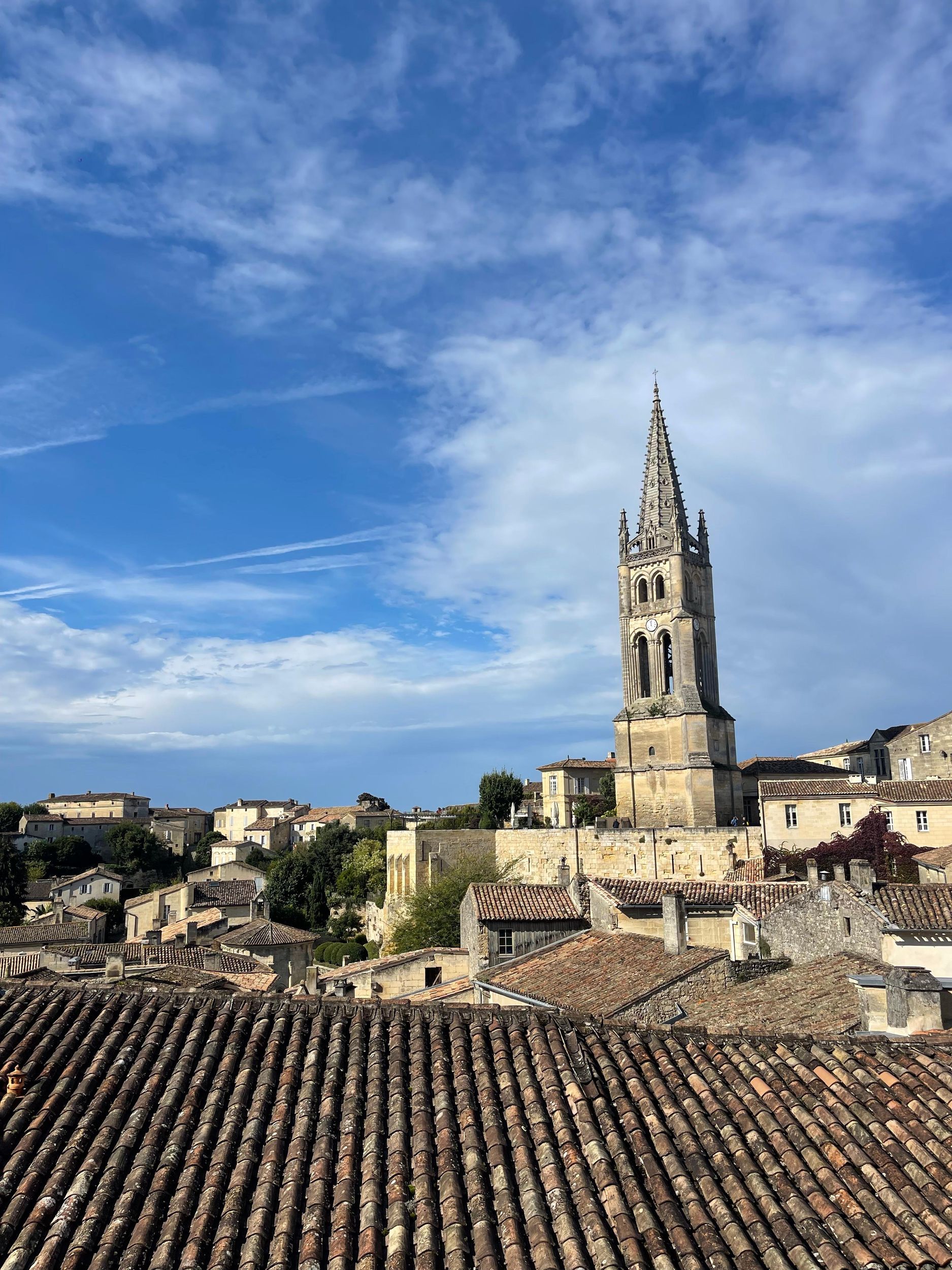 Côte de Beaune Halbtagestour Wein ab Dijon