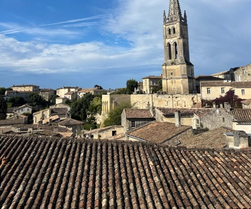 Côte de Beaune Half-Day Wine Tour from Dijon