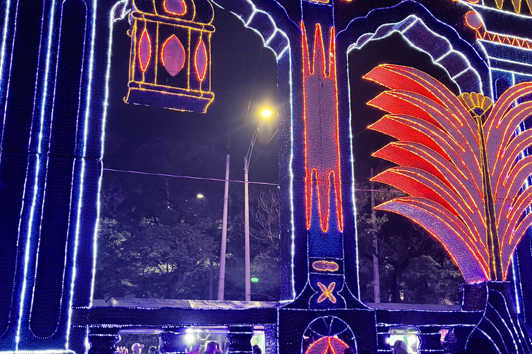 Christmas lights on the Medellín River