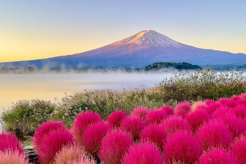 Tokyo: Mount Fuji Instagram Highlights Day Trip (6 Views) 08:00 | Meet at Shinjuku West Exit, SMBC