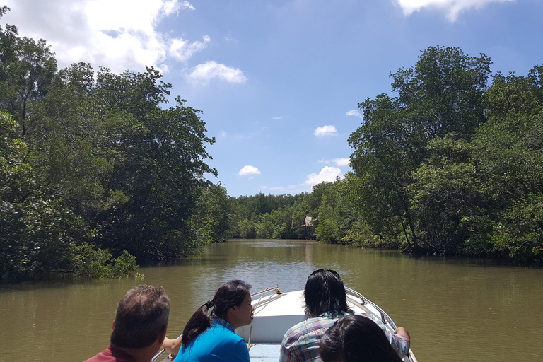 From Ho Chi Minh: Can Gio Mangrove Forest (Eco Tour)