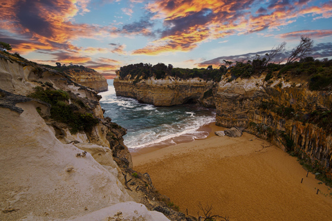 Desde Melbourne: Excursión guiada de un día a Great Ocean Road