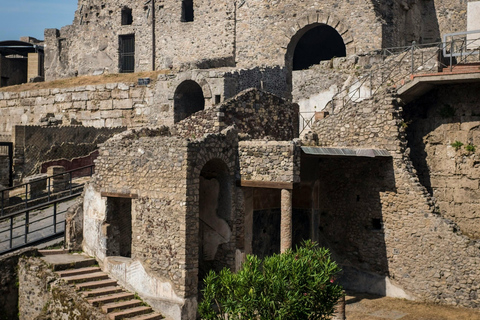 Naples: Pompeii & Herculaneum Shared Regular Group Tour