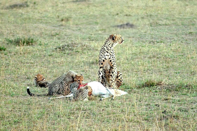 Overnight Safari to Tsavo East From Diani Beach