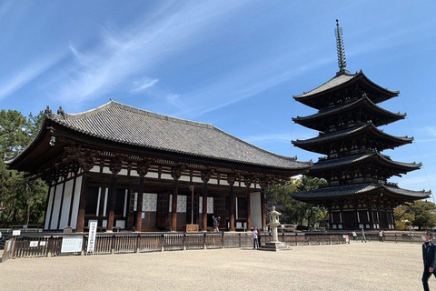 Nara Gardens and Temples Private Guided Tour with Transport