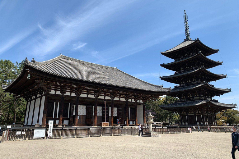 Nara Gardens and Temples Private Guided Tour with Transport