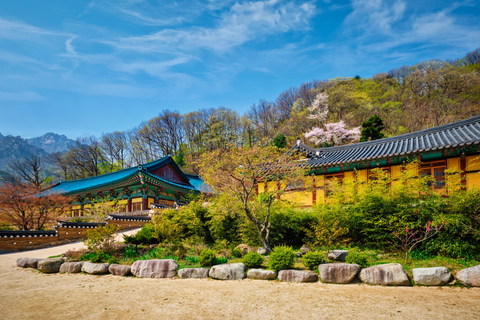 Seoraksan Hiking: Ulsanbawi, Biryong Falls & Finisher Gift B) Hiking Only Shared Tour, Meet at Mt. Seorak