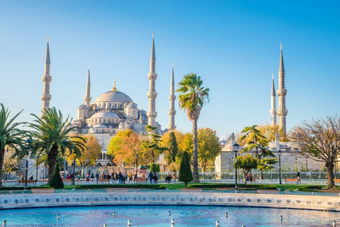 Istanbul: Small Group Guided Tour with Lunch & Tickets