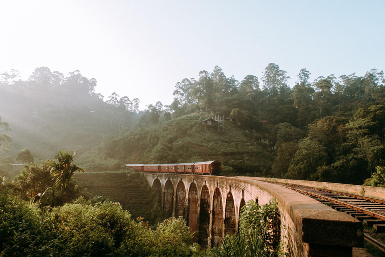 Sri Lanka Bergzug, Wasser-Rafting, Dschungel-Safari