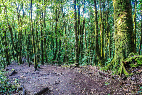 Chiang Mai : Doi Inthanon, chutes d'eau et villages tribaux