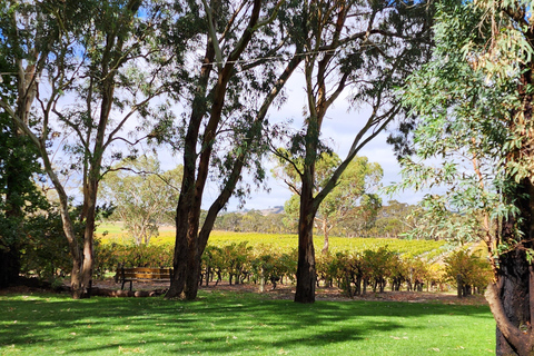 Adelaide: McLaren Vale Winery Tour with Lunch & Tastings