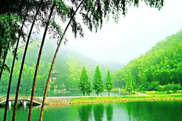 Shanghai: Crouching Tiger Bamboo Forest & White Tea Trip