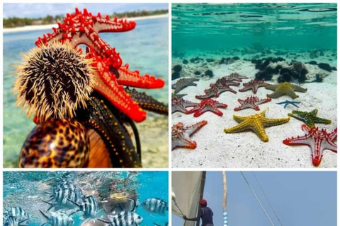 Zanzibar: Kiwengwa Reef Snorkeling, Sailing & Starfish Tour Zanzibar: Kiwengwa Reefs Snorkeling, Sailing & Starfish Tour