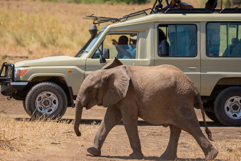 5 Days Amboseli, Tsavo West &amp; East Safari with SGR /Mombasa