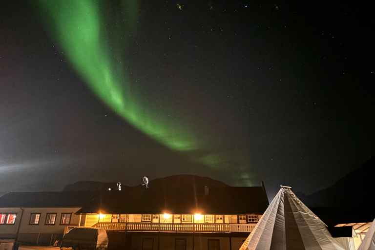 Tromsø: Sami-Kultur &amp; Joik-Erlebnis mit Mittagessen
