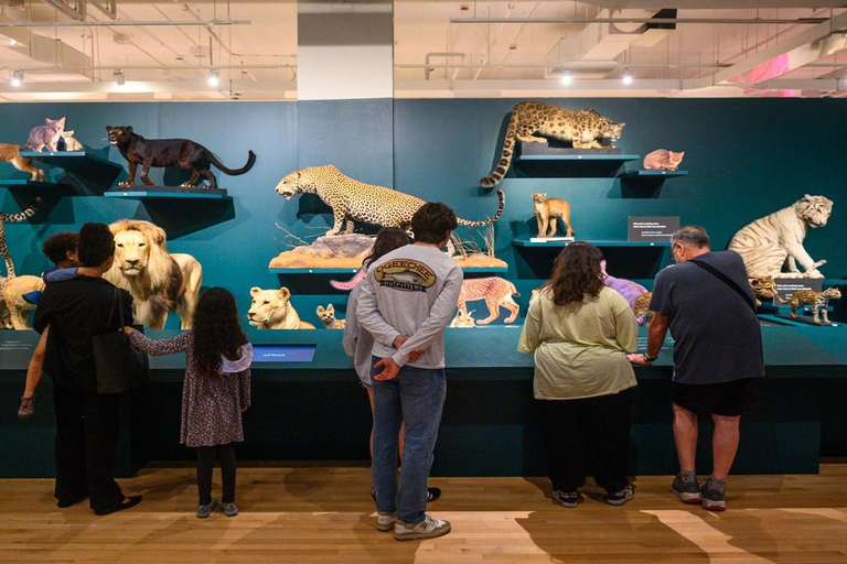 Royal Ontario Museum Revealed: Um tour guiado pela história