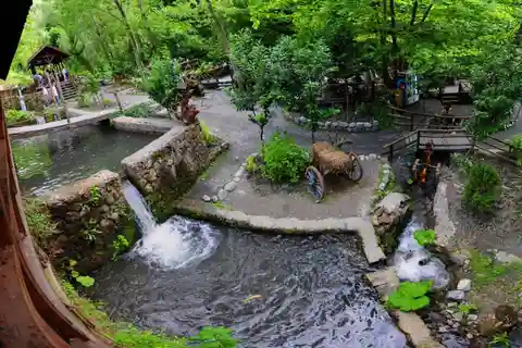 Sapanca Maşukiye Tour ab Istanbul