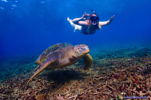 Koh Tao: Excursão de um dia com mergulho com snorkel nas ilhas e almoçoKoh Tao: Ilhas Snorkeling Destaques Day Tour &amp; Almoço