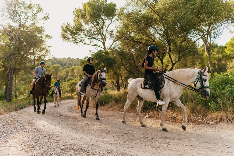 Mallorca: Mountain Horse Riding Experience w/ Brunch Option 1-Hour Horseback Riding Tour with Brunch and Meeting Point