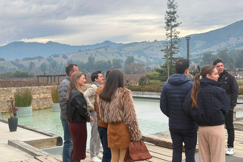 From Santiago: Viña Montes Winery Tour with Wine Tasting